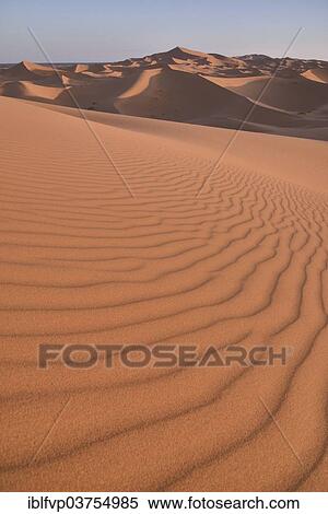 "Dunes in the morning light, Great Sand Sea, Sahara, Merzouga, Meknes-Tafilalet region, Morocco, Africa" View Large Photo Image Stock Photography - "Dunes in the morning light, Great Sand Sea, Sahara, Merzouga, Meknes-Tafilalet region, Morocco, Africa". Fotosearch