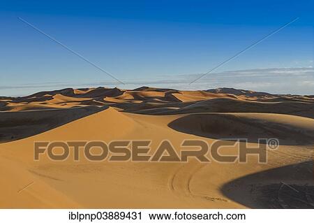 "Dunes of Erg Chebbi, desert landscape, Merzouga, Meknes-Tafilalet region, Morocco, Africa" View Large Photo Image Stock Image - "Dunes of Erg Chebbi, desert landscape, Merzouga, Meknes-Tafilalet region, Morocco, Africa". Fotosearch
