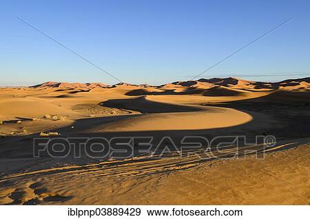 "Dunes of Erg Chebbi, desert landscape, Merzouga, Meknes-Tafilalet region, Morocco, Africa" View Large Photo Image Stock Photo - "Dunes of Erg Chebbi, desert landscape, Merzouga, Meknes-Tafilalet region, Morocco, Africa". Fotosearch