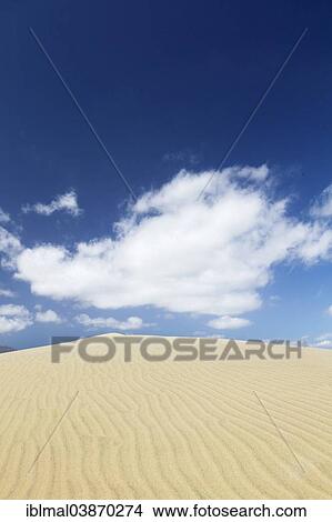 "Dunes of Maspalomas, Gran Canaria, Canary Islands, Spain, Europe" View Large Photo Image Picture - "Dunes of Maspalomas, Gran Canaria, Canary Islands, Spain, Europe". Fotosearch