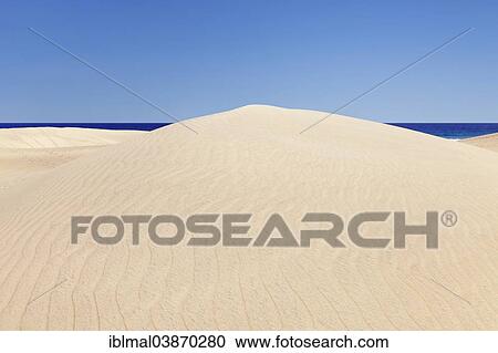 "Dunes of Maspalomas, Gran Canaria, Canary Islands, Spain, Europe" View Large Photo Image Stock Image - "Dunes of Maspalomas, Gran Canaria, Canary Islands, Spain, Europe". Fotosearch