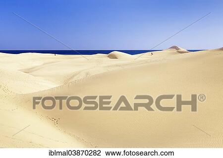 "Dunes of Maspalomas, Gran Canaria, Canary Islands, Spain, Europe" View Large Photo Image Stock Image - "Dunes of Maspalomas, Gran Canaria, Canary Islands, Spain, Europe". Fotosearch