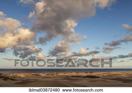 "Dunes of Maspalomas, Gran Canaria, Canary Islands, Spain, Europe" View Large Photo Image Stock Image - "Dunes of Maspalomas, Gran Canaria, Canary Islands, Spain, Europe". Fotosearch