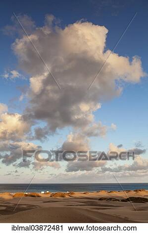 Stock Image - "Dunes of Maspalomas, Gran Canaria, Canary Islands, Spain, Europe". Fotosearch