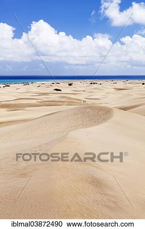 "Dunes of Maspalomas, Gran Canaria, Canary Islands, Spain, Europe" View Large Photo Image Stock Image - "Dunes of Maspalomas, Gran Canaria, Canary Islands, Spain, Europe". Fotosearch