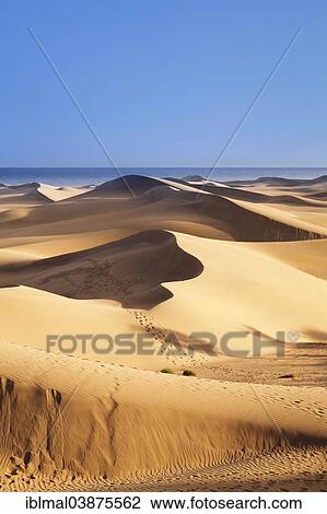"Dunes of Maspalomas, Gran Canaria, Canary Islands, Spain, Europe" View Large Photo Image Stock Image - "Dunes of Maspalomas, Gran Canaria, Canary Islands, Spain, Europe". Fotosearch