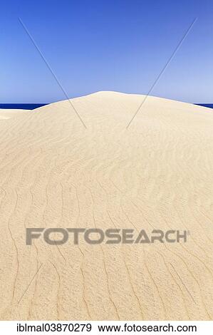 "Dunes of Maspalomas, Gran Canaria, Canary Islands, Spain, Europe" View Large Photo Image Stock Photo - "Dunes of Maspalomas, Gran Canaria, Canary Islands, Spain, Europe". Fotosearch