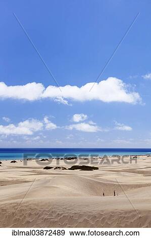 "Dunes of Maspalomas, Gran Canaria, Canary Islands, Spain, Europe" View Large Photo Image Stock Photo - "Dunes of Maspalomas, Gran Canaria, Canary Islands, Spain, Europe". Fotosearch