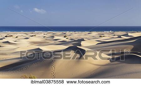 "Dunes of Maspalomas, Gran Canaria, Canary Islands, Spain, Europe" View Large Photo Image Stock Photo - "Dunes of Maspalomas, Gran Canaria, Canary Islands, Spain, Europe". Fotosearch
