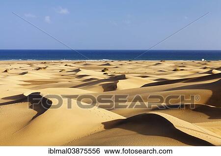 "Dunes of Maspalomas, Gran Canaria, Canary Islands, Spain, Europe" View Large Photo Image Stock Photograph - "Dunes of Maspalomas, Gran Canaria, Canary Islands, Spain, Europe". Fotosearch