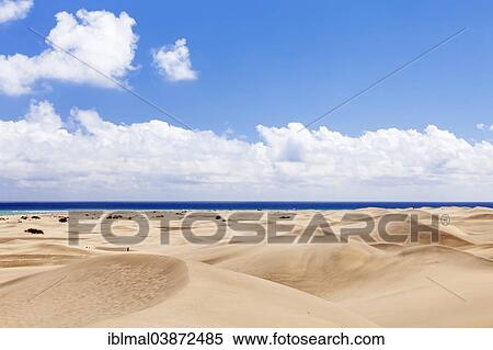 "Dunes of Maspalomas, Gran Canaria, Canary Islands, Spain, Europe" View Large Photo Image Stock Photography - "Dunes of Maspalomas, Gran Canaria, Canary Islands, Spain, Europe". Fotosearch