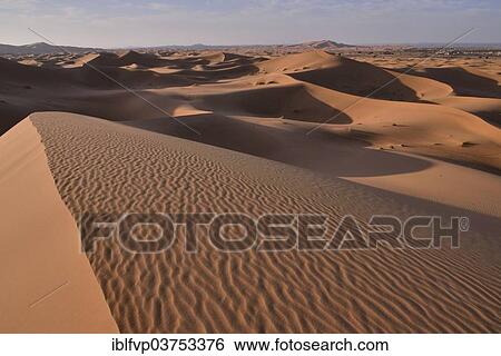 "Dunes, Sahara, Merzouga, Meknes-Tafilalet region, Morocco, Africa" View Large Photo Image Stock Photograph - "Dunes, Sahara, Merzouga, Meknes-Tafilalet region, Morocco, Africa". Fotosearch