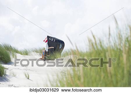 "Dunes, white sandy beach and a beach chair, Kniepsand, Amrum, Amrum, North Frisian Islands, Schleswig-Holstein, Germany, Europe" View Large Photo Image Stock Photo - "Dunes, white sandy beach and a beach chair, Kniepsand, Amrum, Amrum, North Frisian Islands, Schleswig-Holstein, Germany, Europe". Fotosearch