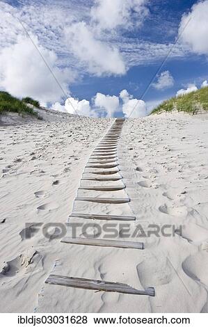 "Dunes, white sandy beach and steps, Kniepsand, Amrum, Amrum, North Frisian Islands, Schleswig-Holstein, Germany, Europe" View Large Photo Image Stock Photo - "Dunes, white sandy beach and steps, Kniepsand, Amrum, Amrum, North Frisian Islands, Schleswig-Holstein, Germany, Europe". Fotosearch