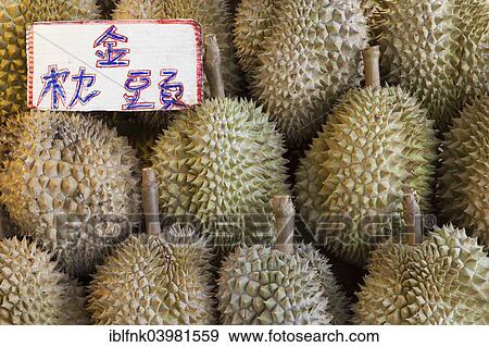 "Durian fruits, Or Tor Kor, market for fresh produce, Bangkok, Thailand, Asia" View Large Photo Image Stock Photo - "Durian fruits, Or Tor Kor, market for fresh produce, Bangkok, Thailand, Asia". Fotosearch
