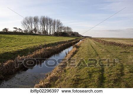 "Dyke at Deepdale Marsh at Burnham Norton, marsh land habitat used by winter wildfowl flocks, Brancaster North Norfolk, England, United Kingdom, Europe" View Large Photo Image Stock Photo - "Dyke at Deepdale Marsh at Burnham Norton, marsh land habitat used by winter wildfowl flocks, Brancaster North Norfolk, England, United Kingdom, Europe". Fotosearch
