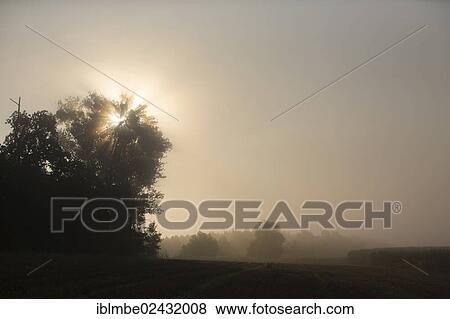 "Early autumn morning, Havelland region, Brandenburg, Germany, Europe" View Large Photo Image Stock Photo - "Early autumn morning, Havelland region, Brandenburg, Germany, Europe". Fotosearch