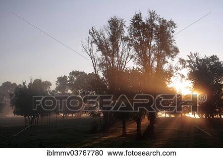 "Early autumn morning mood on the Lower Weser Island, Strohauser Plate, Lower Saxony, Germany, Europe" View Large Photo Image Stock Image - "Early autumn morning mood on the Lower Weser Island, Strohauser Plate, Lower Saxony, Germany, Europe". Fotosearch