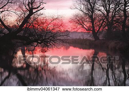 "Early morning at sunrise, in the floodplain, Middle Elbe Biosphere Reserve, Dessau-Rosslau, Saxony-Anhalt, Germany, Europe" View Large Photo Image Stock Photo - "Early morning at sunrise, in the floodplain, Middle Elbe Biosphere Reserve, Dessau-Rosslau, Saxony-Anhalt, Germany, Europe". Fotosearch