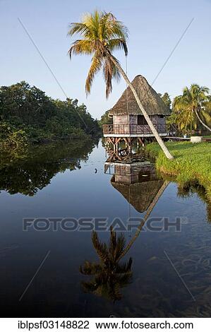 "Early morning at Villa Guama, small hotel on stilts in the style of a Native American village, Villa Guama, Boca de Guama, Matanzas, Cuba, North America" View Large Photo Image Stock Image - "Early morning at Villa Guama, small hotel on stilts in the style of a Native American village, Villa Guama, Boca de Guama, Matanzas, Cuba, North America". Fotosearch