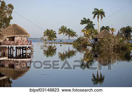Stock Image - "Early morning at Villa Guama, small hotel on stilts in the style of a Native American village, Villa Guama, Boca de Guama, Matanzas, Cuba, North America". Fotosearch