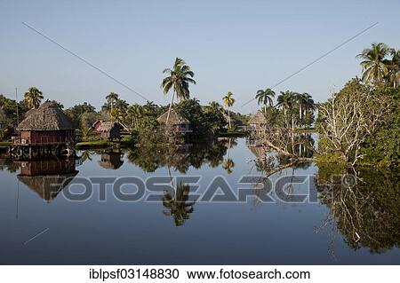 "Early morning at Villa Guama, small hotel on stilts in the style of a Native American village, Villa Guama, Boca de Guama, Matanzas, Cuba, North America" View Large Photo Image Stock Image - "Early morning at Villa Guama, small hotel on stilts in the style of a Native American village, Villa Guama, Boca de Guama, Matanzas, Cuba, North America". Fotosearch
