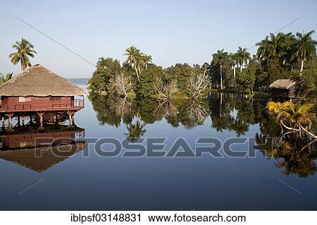 "Early morning at Villa Guama, small hotel on stilts in the style of a Native American village, Villa Guama, Boca de Guama, Matanzas, Cuba, North America" View Large Photo Image Stock Image - "Early morning at Villa Guama, small hotel on stilts in the style of a Native American village, Villa Guama, Boca de Guama, Matanzas, Cuba, North America". Fotosearch