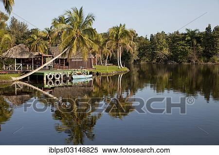 "Early morning at Villa Guama, small hotel on stilts in the style of a Native American village, Villa Guama, Boca de Guama, Matanzas, Cuba, North America" View Large Photo Image Stock Photography - "Early morning at Villa Guama, small hotel on stilts in the style of a Native American village, Villa Guama, Boca de Guama, Matanzas, Cuba, North America". Fotosearch