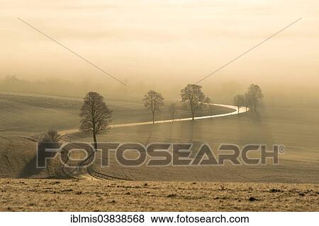 "Early morning at Witthoh ridge, Hegau, Baden-Wurttemberg, Germany, Europe" View Large Photo Image Stock Photo - "Early morning at Witthoh ridge, Hegau, Baden-Wurttemberg, Germany, Europe". Fotosearch