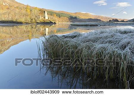 "Early morning hoar frost, Scottish Highlands, Loch Dorchardt, Scotland, United Kingdom, Europe" View Large Photo Image Stock Photo - "Early morning hoar frost, Scottish Highlands, Loch Dorchardt, Scotland, United Kingdom, Europe". Fotosearch