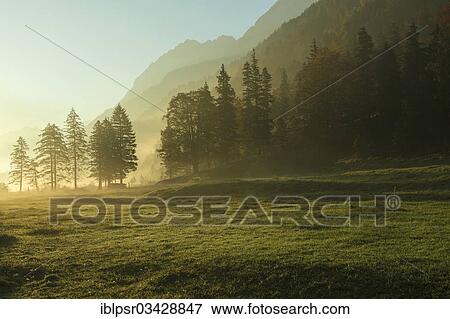 "Early morning in Risstal valley, Hinterriss, Tyrol, Austria, Europe" View Large Photo Image Stock Photo - "Early morning in Risstal valley, Hinterriss, Tyrol, Austria, Europe". Fotosearch