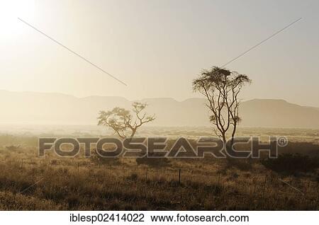 Stock Image - Early morning mist, Naukluft Mountains, Namib-Naukluft-Park, Namib-Wuste, Namibia, Africa. Fotosearch