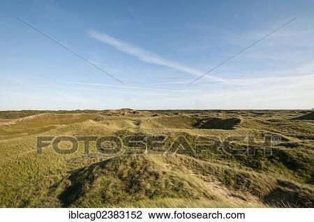 "Early morning mood in the dunes landscape, Henne Beach, West Jutland, Denmark, Europe" View Large Photo Image Stock Image - "Early morning mood in the dunes landscape, Henne Beach, West Jutland, Denmark, Europe". Fotosearch