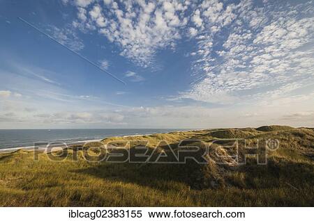 "Early morning mood in the dunes landscape, Henne Beach, West Jutland, Denmark, Europe" View Large Photo Image Stock Photography - "Early morning mood in the dunes landscape, Henne Beach, West Jutland, Denmark, Europe". Fotosearch