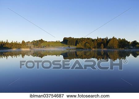"Early morning mood on Schwaigsee lake, Wildsteig, Pfaffenwinkel region, Upper Bavaria, Bavaria, Germany, Europe" View Large Photo Image Stock Photo - "Early morning mood on Schwaigsee lake, Wildsteig, Pfaffenwinkel region, Upper Bavaria, Bavaria, Germany, Europe". Fotosearch