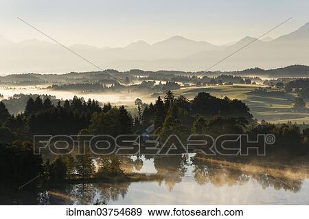"Early morning mood on Schwaigsee lake, Wildsteig, Pfaffenwinkel region, Upper Bavaria, Bavaria, Germany, Europe" View Large Photo Image Stock Photo - "Early morning mood on Schwaigsee lake, Wildsteig, Pfaffenwinkel region, Upper Bavaria, Bavaria, Germany, Europe". Fotosearch