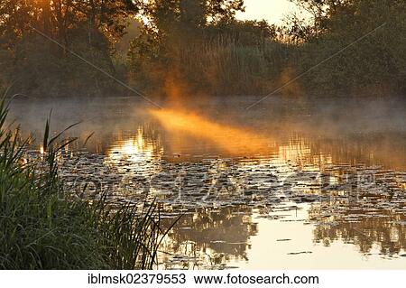 Stock Image - "Early morning mood on the Seille River, near Cuisery, Tournus, Burgundy region, department of Saone-et-Loire, France, Europe". Fotosearch