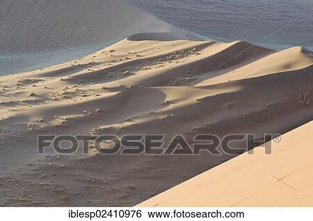 "Early morning mood, view from Dune 45 over the dune landscape, Tsauchab Valley, Sossusvlei, Namib Desert, Namib Naukluft Park, Namibia, Africa" View Large Photo Image Stock Photograph - "Early morning mood, view from Dune 45 over the dune landscape, Tsauchab Valley, Sossusvlei, Namib Desert, Namib Naukluft Park, Namibia, Africa". Fotosearch