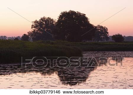 Stock Photograph - "Early morning on a lake, Middle Elbe Biosphere Reserve near Dessau, Saxony-Anhalt, Germany, Europe". Fotosearch