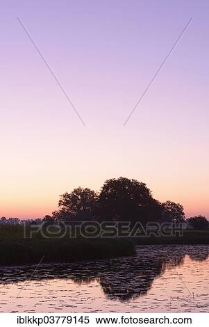 Stock Photography - "Early morning on a lake, Middle Elbe Biosphere Reserve near Dessau, Saxony-Anhalt, Germany, Europe". Fotosearch