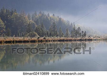 "Early morning on lake Offensee, Ebensee, Salzkammergut region, Upper Austria, Austria, Europe" View Large Photo Image Stock Photo - "Early morning on lake Offensee, Ebensee, Salzkammergut region, Upper Austria, Austria, Europe". Fotosearch