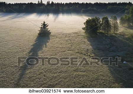 "Early morning with fog, Schwarzes Moor nature reserve, high moor, Rhon Biosphere Reserve, Fladungen, Bavaria, Germany, Europe" View Large Photo Image Picture - "Early morning with fog, Schwarzes Moor nature reserve, high moor, Rhon Biosphere Reserve, Fladungen, Bavaria, Germany, Europe". Fotosearch
