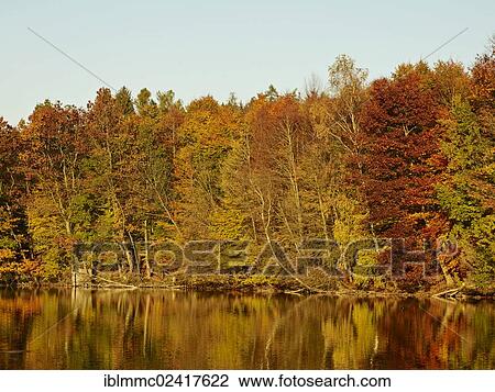 Stock Image - Eggertalteich pond near Waldberg, autumn, Swabia, Bavaria, Germany, Europe. Fotosearch