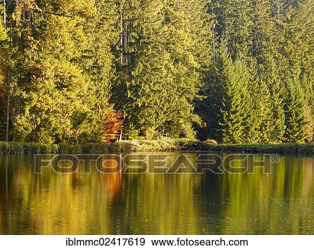 Eggertalteich pond near Waldberg, autumn, Swabia, Bavaria, Germany, Europe View Large Photo Image Stock Photo - Eggertalteich pond near Waldberg, autumn, Swabia, Bavaria, Germany, Europe. Fotosearch