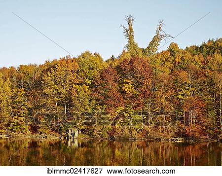 Eggertalteich pond near Waldberg, autumn, Swabia, Bavaria, Germany, Europe View Large Photo Image Stock Photo - Eggertalteich pond near Waldberg, autumn, Swabia, Bavaria, Germany, Europe. Fotosearch