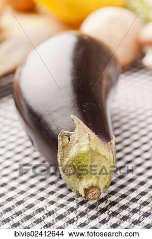 Eggplant, Aubergine (Solanum melongena) View Large Photo Image Picture - Eggplant, Aubergine (Solanum melongena). Fotosearch