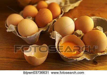 "Eggs in a tray, one cracked, yoke" View Large Photo Image Stock Image - "Eggs in a tray, one cracked, yoke". Fotosearch