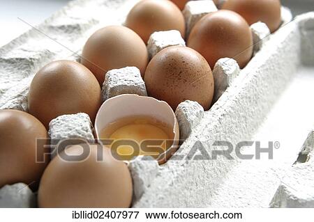Eggs in an egg carton with one broken egg View Large Photo Image Stock Photo - Eggs in an egg carton with one broken egg. Fotosearch