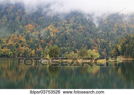 "Eibsee lake in autumn, Eibsee lake, Grainau, Upper Bavaria, Bavaria, Germany, Europe" View Large Photo Image Stock Photograph - "Eibsee lake in autumn, Eibsee lake, Grainau, Upper Bavaria, Bavaria, Germany, Europe". Fotosearch
