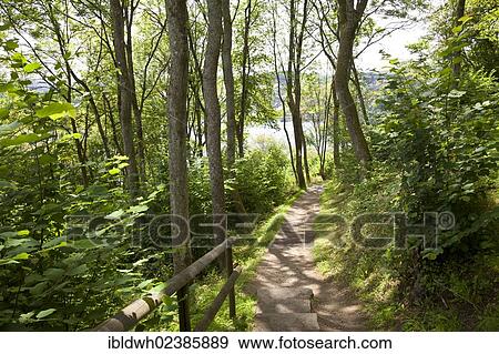 "Eifelsteig trail, Schalkenmehr Maar, near Schalkenmehren, Daun, Eifel, Rhineland-Palatinate, Germany, Europe, PublicGround, Europe" View Large Photo Image Stock Photo - "Eifelsteig trail, Schalkenmehr Maar, near Schalkenmehren, Daun, Eifel, Rhineland-Palatinate, Germany, Europe, PublicGround, Europe". Fotosearch